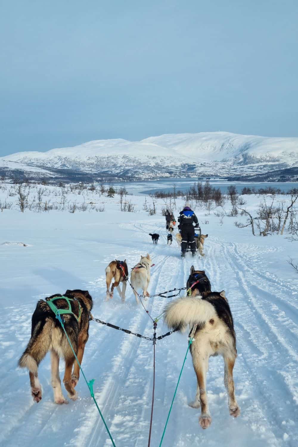 tromso northern lights tour